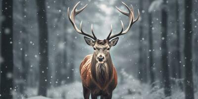 Noble deer male in the winter snow forest. Artistic winter Christmas landscape. AI Generated photo