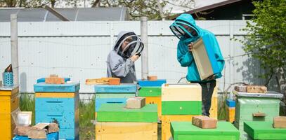 Dad and son on the apiary. Family agribusiness. boy records video as father works near hives. Online education in beekeeping and fertilization of queen bee. photo