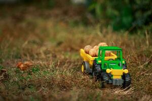 Green tractor carries nuts in the back. Toy tractor with a crop of ripe walnuts. photo