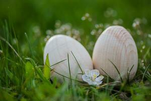 dos blanco Pascua de Resurrección huevos con un rama de albaricoque en verde césped. Pascua de Resurrección antecedentes. buscar para huevos a Pascua de Resurrección. foto