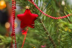 Red toy in form of a star on a New Year's fir photo