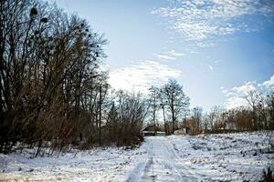 Old rustic house background. Winter rural scene. snow-covered road lit by rays of winter sun leading along bare dark trees photo