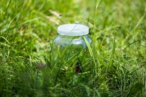 Bank bottle with butterflies inside. The grass inside the banks and conditionality in the meadow butterflies and other insects. photo