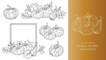 Pumpkins Line Art Illustration, Outline Pumpkin arrangement Hand Drawn Illustration. Coloring Page with Pumpkins.  Thanksgiving Pumpkins Frame. Thanksgiving Pumpkins set vector