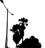 palm tree silhouette vector illustration, silhouette of  palm tree on white background vector art,  black color ,