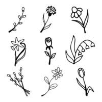 set of vector floral doodles