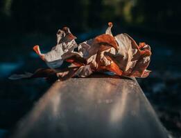 Close up bright oak dry leaf on rails concept photo. Fall season, top view. photo