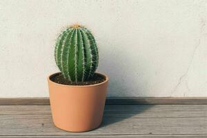 cactus en minimalista maceta. antecedentes. ai generativo Pro foto