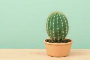 Cactus in minimalist pot. background. AI Generative Pro Photo