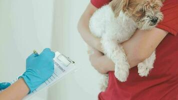 vétérinaire médecin et une Labrador chiot à vétérinaire ambulance video
