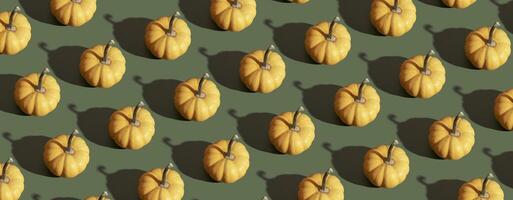 Banner with orange pumpkin pattern on green background. Moderm backdrop for fall, thanksgiving day photo