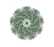 tropical leaves plant isolated icon vector illustration design  vector illustration design, two palm leaves are shown on a white background