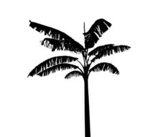 silhouette of banana tree set on white background vector art black color