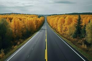 Asphalt concrete road with fallen leaves in autumn,  AI generated photo