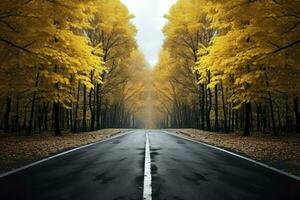 asfalto hormigón la carretera con caído hojas en otoño, ai generado foto
