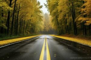 asfalto hormigón la carretera con caído hojas en otoño, ai generado foto