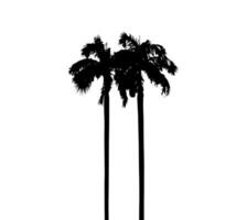 palm trees silhouette vector  set black and white color