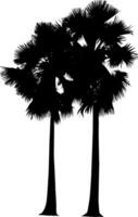 palm trees silhouette vector  set black and white color