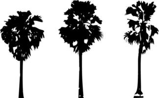 palm trees silhouette vector  set black and white color