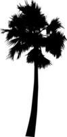 a black and white illustration of a palm tree, silhouette of  palm tree on white background vector art,  black color