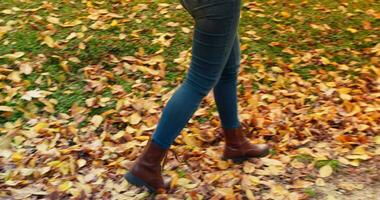 joven mujer caminando terminado otoño follaje video