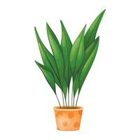 planta de interior en maceta aspidistra alta o cash iron. vector