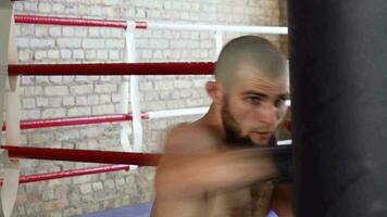 barbu professionnel Masculin boxeur formation avec perforation sac video