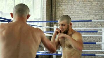 traseiro Visão tiro do uma barbudo masculino boxer praticando dentro frente do a espelho video