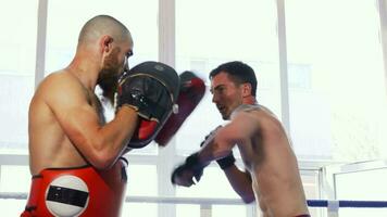 dois masculino MMA lutadores Treinamento sem camisa às a Academia video