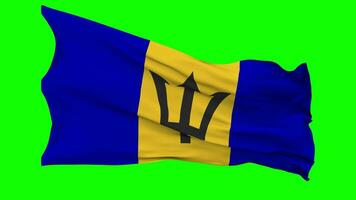 Barbados Flag Waving Seamless Loop in Wind, Chroma Key Green Screen, Luma Matte Selection video