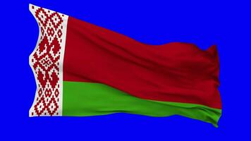 Belarus Flag Waving Seamless Loop in Wind, Chroma Key Green Screen, Luma Matte Selection video