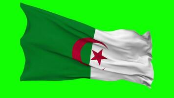 Algeria Flag Waving Seamless Loop in Wind, Chroma Key Green Screen, Luma Matte Selection video