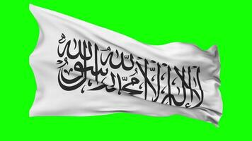 Afghanistan Flag Waving Seamless Loop in Wind, Chroma Key Green Screen, Luma Matte Selection video