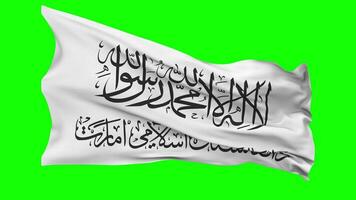 Afghanistan Flag Waving Seamless Loop in Wind, Chroma Key Green Screen, Luma Matte Selection video