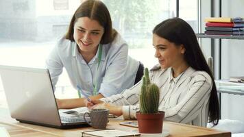 Female designer and her assistant working together on the laptop video