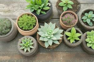 top view a close up of plants in pots on a table. background. AI Generative Pro Photo