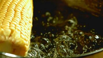 Corn falls into boiling water into a pan. Filmed on a highspeed camera at 1000 fps. High quality FullHD footage video