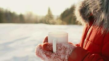 uma mulher é segurando uma branco copo com uma aquecimento quente beber este é vapor dentro a Jardim dentro inverno. delicioso chá ou aromatista café. ponderado vinho dentro a neve é muito saboroso. rua lanche às uma piquenique video