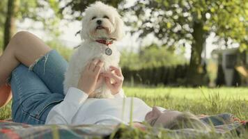 A dog sits astride the belly of a young woman lying on a blanket on the grass among trees and the rays of the sun. Love between best friends, man and animal. Friendship in nature on a day off video