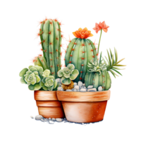 Ai generated cactus plant in pot watercolor illustration png