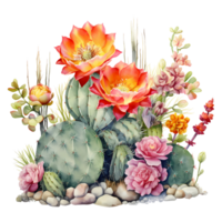 ai generato cactus e fiori su trasparente sfondo png