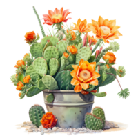 Ai generated cactus flowers in a pot on a transparent background png