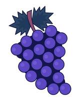 Fruit grapes bunch 2D linear cartoon object. Autumn harvesting refreshment isolated line vector element white background. Viticulture ripe berries. Organic summer plant color flat spot illustration