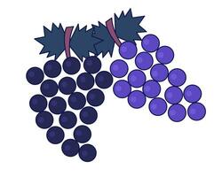 Autumn bunch of grapes 2D linear cartoon object. Fall harvest food isolated line vector element white background. Countryside italian winemaking. Redwine grapes color flat spot illustration