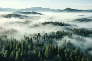 Foggy morning in the Carpathian Mountains, Ukraine, thick fog covered with thick coniferous forest. forest with a bird's eye view, AI Generated photo