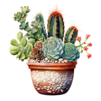 ai generado cactus planta en maceta acuarela ilustración png