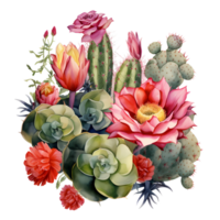 Ai generated cactus and flowers on transparent background png