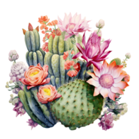 Ai generated cactus and flowers on transparent background png