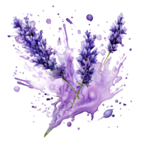 Ai generated lavender flowers watercolor painting, lavender flowers png