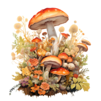 Ai generated mushrooms and plants on a transparent background png